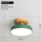 Green 18CM / Tricolor Light