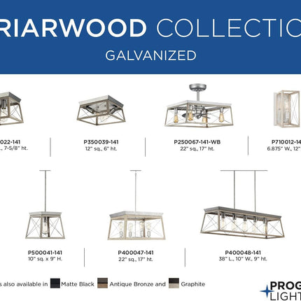 Briarwood Collection 1-Light Bleached Oak Farmhouse Mini-Pendant Light, Galvanized, 9.00X10.00X10.00