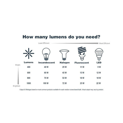 Kawena 60-Watt 1-Light Robusta Wood Tropical Mini Pendant Light with Clear Glass Shade and No Bulbs Included