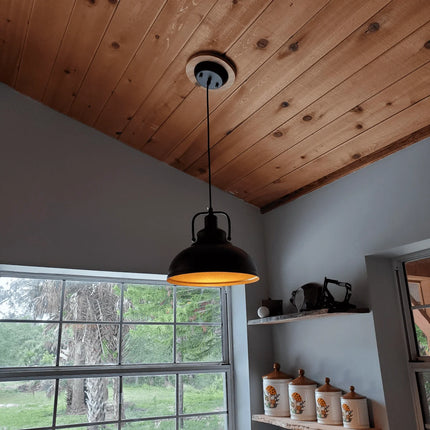 1-Light Dimmable LED Black Irregular Indoor Pendant Lights