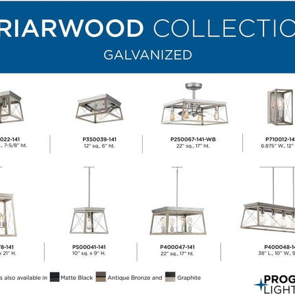Briarwood Collection 1-Light Bleached Oak Farmhouse Mini-Pendant Light, Galvanized, 9.00X10.00X10.00