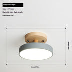Gray 18CM / Tricolor Light