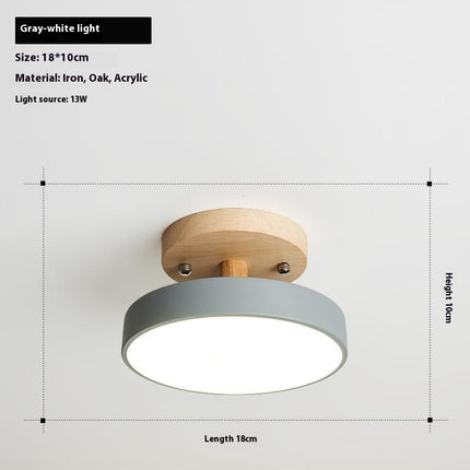 Modern Ceiling Lamp