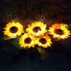 6pcs