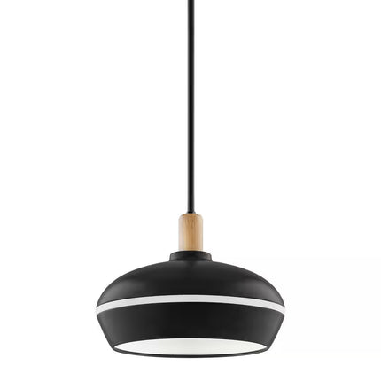 Ryker 1-Light Matte Black Barn Integrated LED Pendant Light with Night Light