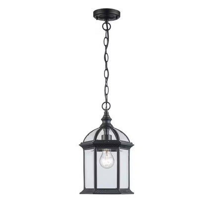 Wentworth 1-Light Black Hanging Outdoor Pendant Light Fixture with Clear Glass