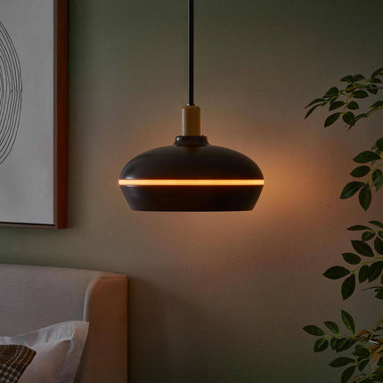 Ryker 1-Light Matte Black Barn Integrated LED Pendant Light with Night Light
