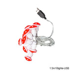 1.5m 10Led-USB / Saudi Arabia
