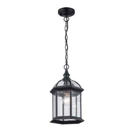 Wentworth 1-Light Black Hanging Outdoor Pendant Light Fixture with Clear Glass