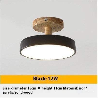 Modern Ceiling Lamp