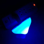 Blue (light is blue) US regulations / 0.7w / 8.5*10cm