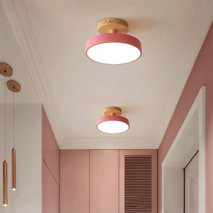 Modern Ceiling Lamp
