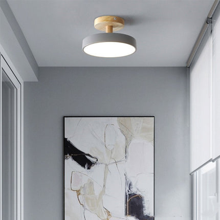 Modern Ceiling Lamp