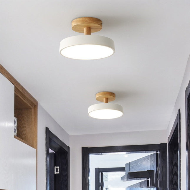 Modern Ceiling Lamp