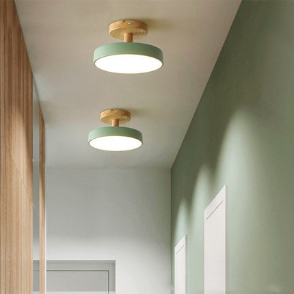 Modern Ceiling Lamp