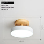 White 18CM / Tricolor Light