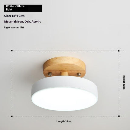 Modern Ceiling Lamp