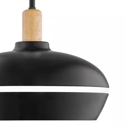 Ryker 1-Light Matte Black Barn Integrated LED Pendant Light with Night Light