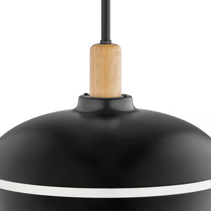 Ryker 1-Light Matte Black Barn Integrated LED Pendant Light with Night Light