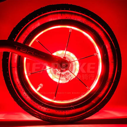 Bike Light