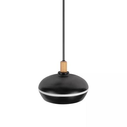 Ryker 1-Light Matte Black Barn Integrated LED Pendant Light with Night Light