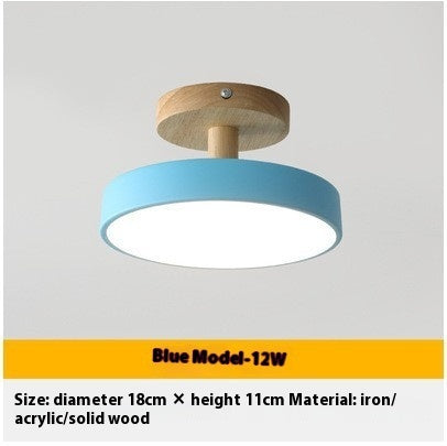 Modern Ceiling Lamp