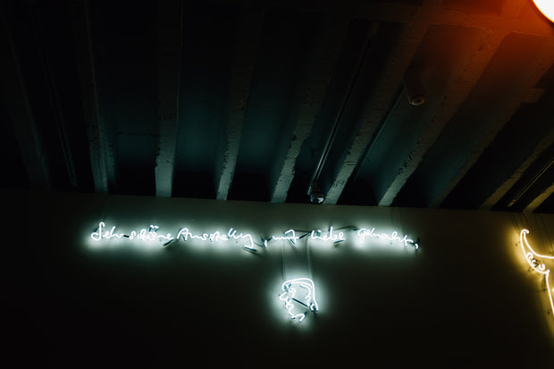 <h3>Neon Signs</h3>